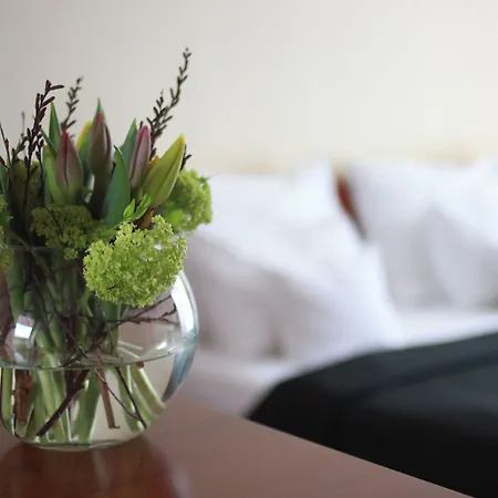 Art Hotel